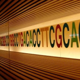 Zooming into the cells – Genomics and Bioinformatics