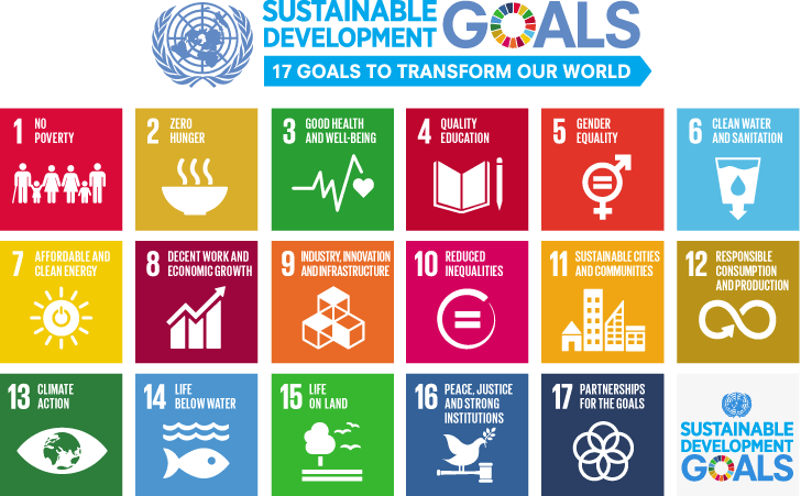 a table showing the icons and titles of the 17 Sustainable Development Goals 