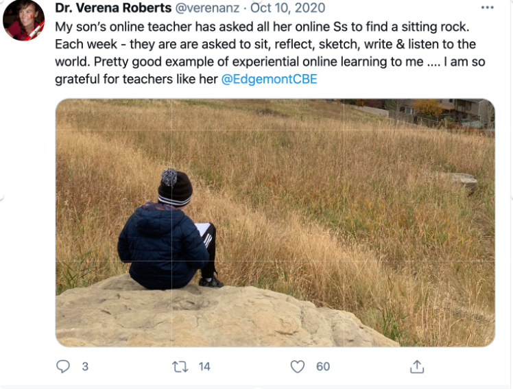 screenshot from twitter showing child sat on a rock with the text of the tweet reading: (words Dr Verena Roberts- permission to share given) "My son’s online teacher has asked all her online students to find a sitting rock. Each week - they are are asked to sit, reflect, sketch, write & listen to the world. Pretty good example of experiential online learning to me .... I am so grateful for teachers like her"