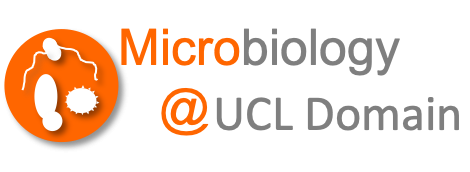 UCL Primary School Outreach in Microbiology